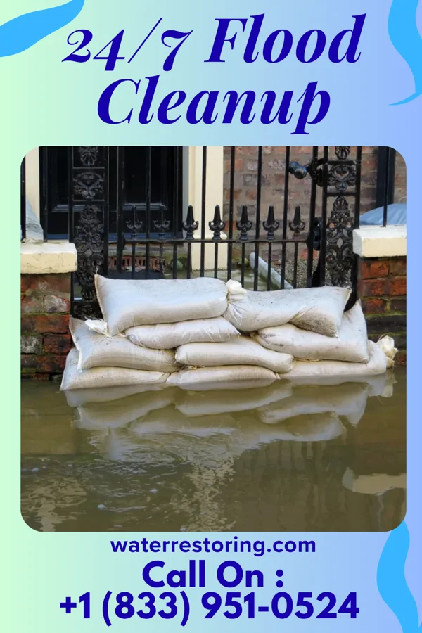 24/7 Flood Cleanup in Dakota, MN