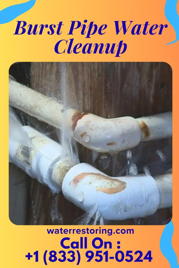 Burst Pipe Water Cleanup in Dakota, MN