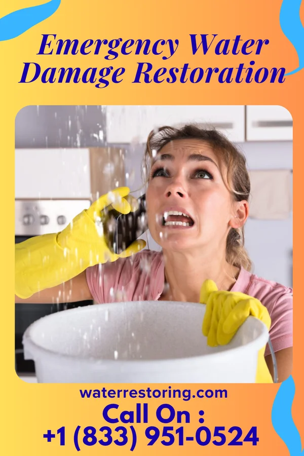 Emergency Water Damage Restoration in Dakota, MN