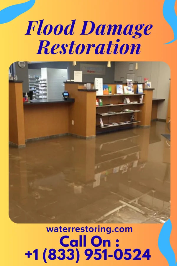 Flood Damage Restoration in Dakota, MN