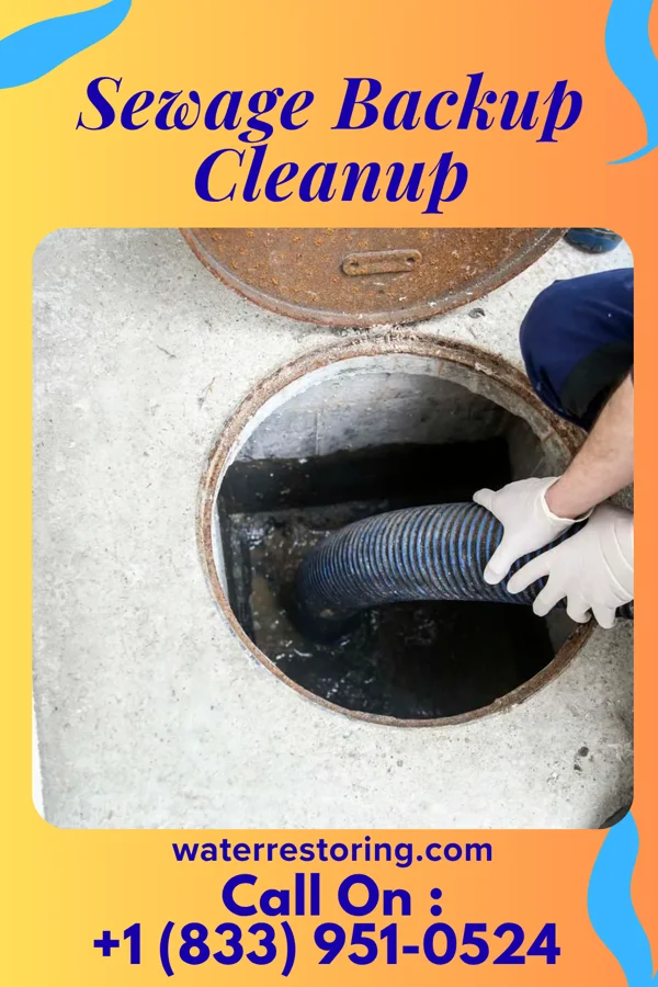 Sewage Backup Cleanup in Dakota, MN